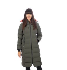 Женское пальто Icepeak 300 г, Brilon  53083-2*585 цена и информация | Женские куртки | hansapost.ee