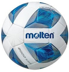 Ball futsal training MOLTEN F9A2000 PU цена и информация | Футбольные мячи | hansapost.ee