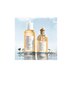 Parfüümvesi Guerlain Aqua Allegoria Nettare Di Sole EDT naistele 125 ml hind ja info | Parfüümid naistele | hansapost.ee