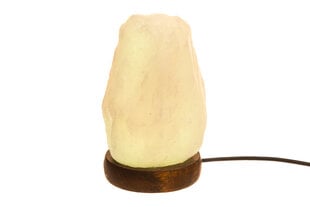 4Living настольная лампа из кристаллов соли Multicolor цена и информация | Настольные лампы | hansapost.ee