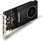 PNY Quadro P2000 5GB GDDR5 PCIE VCQP2000-PB hind ja info | Videokaardid | hansapost.ee