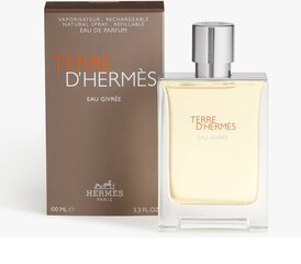 Parfüümvesi Hermes Terre D'Hermes Eau Givree EDP meestele 100 ml цена и информация | Мужские духи | hansapost.ee