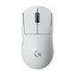 Logitech G Pro X SuperLight White (valge) цена и информация | Arvutihiired | hansapost.ee