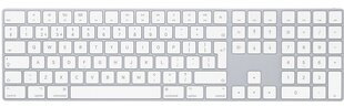 Magic Keyboard with Numeric Keypad INT - MQ052Z/A цена и информация | Клавиатуры | hansapost.ee