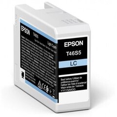 Epson UltraChrome Pro 10 ink T46S5 Ink c цена и информация | Картриджи для струйных принтеров | hansapost.ee