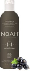 Toitev mask kahjustatud ja kuivadele juustele Noah Origins, 250 ml hind ja info | Noah Parfüümid, lõhnad ja kosmeetika | hansapost.ee