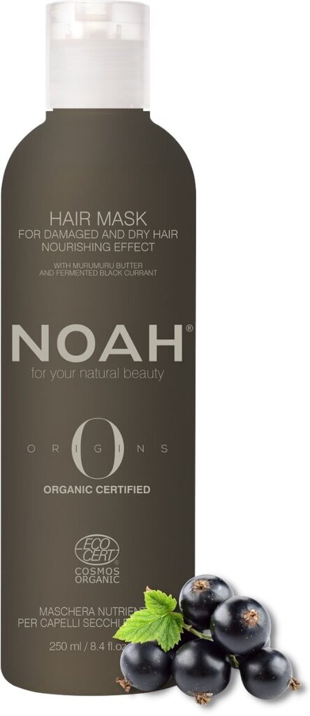 Toitev mask kahjustatud ja kuivadele juustele Noah Origins, 250 ml цена и информация | Juuksemaskid, õlid ja seerumid | hansapost.ee