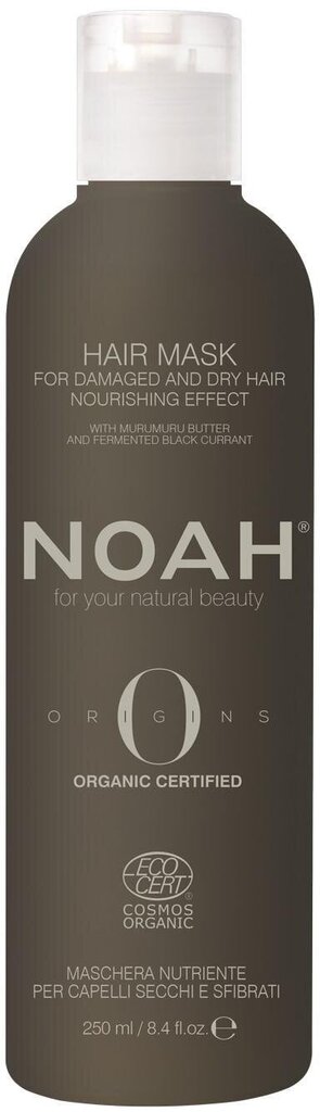 Toitev mask kahjustatud ja kuivadele juustele Noah Origins, 250 ml цена и информация | Juuksemaskid, õlid ja seerumid | hansapost.ee