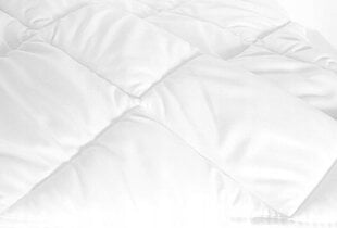 Одеяло Faro Sweet Dreams, 140x200 см цена и информация | Одеяла | hansapost.ee