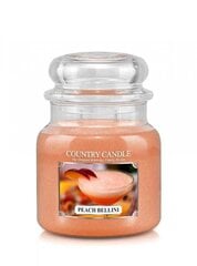 Keskmine küünal 2 tahtliga Country Candle Lemon Peach Bellini 74024, 453g цена и информация | Свечи, подсвечники | hansapost.ee