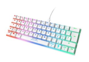 Механическая мини-клавиатура DELTACO GAMING WHITE LINE 60% раскладка США, RGB, красные переключатели, белая/ GAM-075-W-US цена и информация | Клавиатуры | hansapost.ee