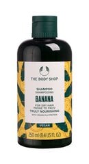 Шампунь The Body Shop Shampooing Nourrissant Banane, 250мл цена и информация | Шампуни | hansapost.ee
