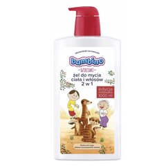 Keha ja juuste pesugeel lastele Bambino Kids 2in1, 1000ml hind ja info | Dušigeelid, õlid | hansapost.ee