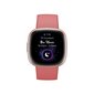 Fitbit Versa 4 Pink Sand/Copper Rose цена и информация | Nutikellad, laste nutikellad | hansapost.ee