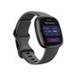 Fitbit Sense 2 Shadow Grey/Graphite цена и информация | Nutikellad, laste nutikellad | hansapost.ee