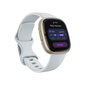 Fitbit Sense 2 Blue Mist/Soft Gold price and information | Nutikellad, laste nutikellad | hansapost.ee