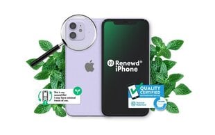 Renewd® iPhone 11 128GB RND-P149128 Purple hind ja info | Renewd Mobiiltelefonid, fotokaamerad, nutiseadmed | hansapost.ee