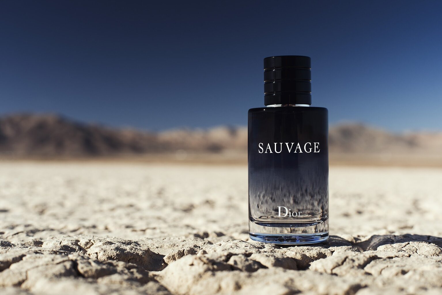 Christian dior sauvage eau de toilette best sale