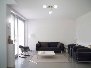Лампа цена и информация | Activejet Мебель и домашний интерьер | hansapost.ee