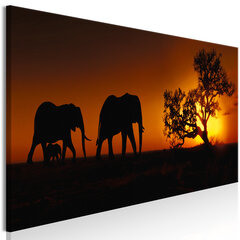 Pilt - Elephant Family (Orange) 135x45 cm hind ja info | Seinapildid | hansapost.ee