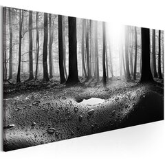 Pilt - Forest after Rain (1 Part) Narrow 135x45 cm hind ja info | Seinapildid | hansapost.ee