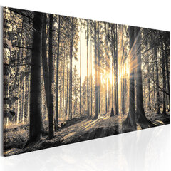 Pilt - Forest Sun 135x45 cm hind ja info | Seinapildid | hansapost.ee