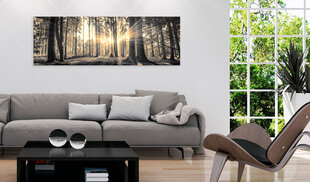 Pilt - Forest Sun 135x45 cm hind ja info | Seinapildid | hansapost.ee