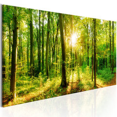 Pilt - Green Magic 135x45 cm hind ja info | Seinapildid | hansapost.ee