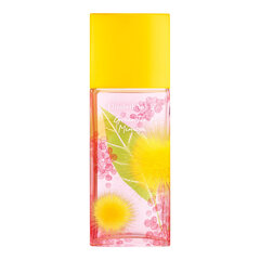 Elizabeth Arden Green Tea Mimosa EDT naistele 100 ml hind ja info | Elizabeth Arden Parfüümid, lõhnad ja kosmeetika | hansapost.ee