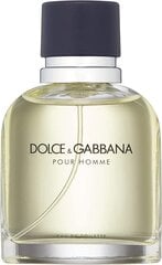Dolce & Gabbana Pour Homme EDT meestele 75 ml hind ja info | Parfüümid meestele | hansapost.ee