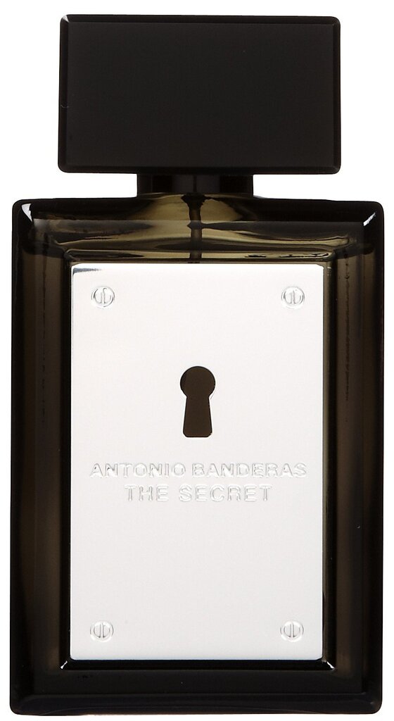 Antonio Banderas The Secret EDT meestele 50 ml цена и информация | Parfüümid meestele | hansapost.ee