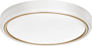 Activejet LED plafond AJE-VERDI White/Gold 23W hind ja info | Activejet Mööbel ja sisustuskaubad | hansapost.ee