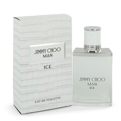Meeste parfüüm Ice Jimmy Choo Man EDT: Maht - 50 ml hind ja info | Parfüümid meestele | hansapost.ee
