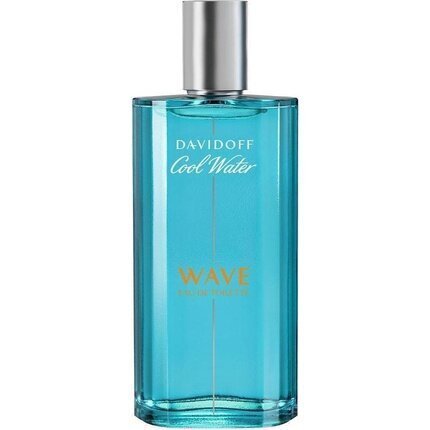 Tualettvesi Davidoff Cool Water Wave EDT meestele 125 ml цена и информация | Parfüümid meestele | hansapost.ee