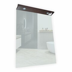 Зеркало F1000631 с подсветкой цена и информация | Зеркала в ванную | hansapost.ee
