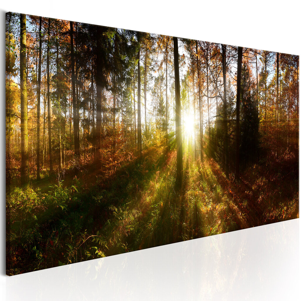 Pilt - Beautiful Forest 135x45 cm hind ja info | Seinapildid | hansapost.ee