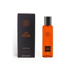 Parfüümvesi Erbario Toscano Black Pepper EDP meestele 100 ml hind ja info | Erbario Toscano Parfüümid, lõhnad ja kosmeetika | hansapost.ee