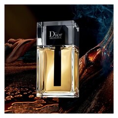 Туалетная вода Dior Homme EDT для мужчин 100 мл цена и информация | Мужские духи | hansapost.ee