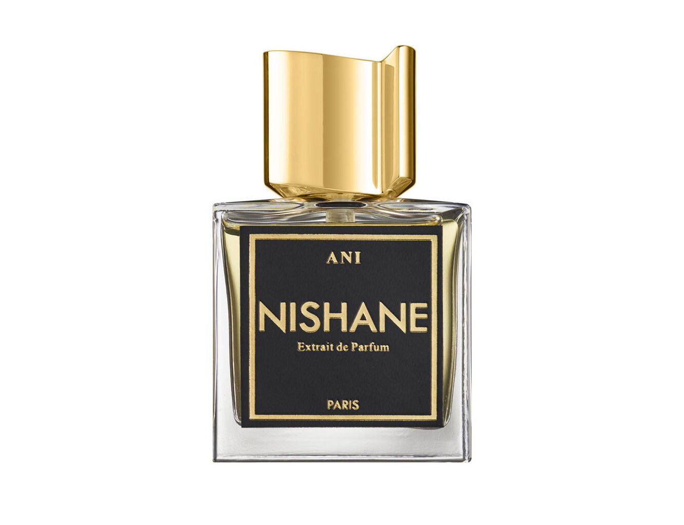 Parfüümvesi Nishane Ani EDP naistele/meestele, 100 ml hind ja info | Parfüümid naistele | hansapost.ee