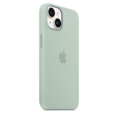 Силиконовый чехол MagSafe для iPhone 14- Суккулент цена и информация | Чехлы для телефонов | hansapost.ee