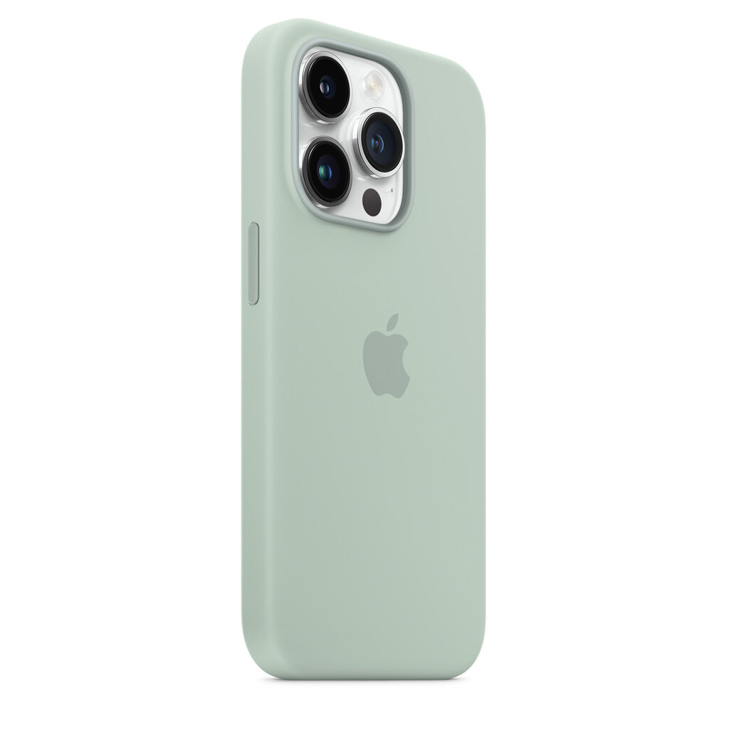 Apple Silicone Case MagSafe MPTY3ZM/A Succulent hind ja info | Telefonide kaitsekaaned ja -ümbrised | hansapost.ee