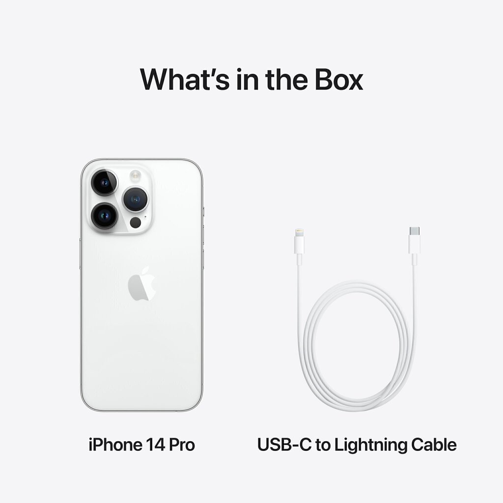 Apple iPhone 14 Pro Max 1TB Silver MQC33PX/A цена и информация | Telefonid | hansapost.ee