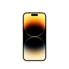 Apple iPhone 14 Pro Max 1TB Gold MQC43PX/A цена и информация | Мобильные телефоны | hansapost.ee
