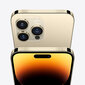 Apple iPhone 14 Pro Max 1TB Gold MQC43PX/A цена и информация | Telefonid | hansapost.ee