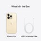 Apple iPhone 14 Pro Max 1TB Gold MQC43PX/A цена и информация | Telefonid | hansapost.ee