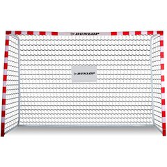 Jalgpallivärav Dunlop Allround, 300x200x110 cm hind ja info | Dunlop Jalgpall | hansapost.ee