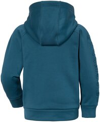 Didriksons laste dressipluus CORIN, sinine hind ja info | Kampsunid, vestid ja jakid poistele | hansapost.ee