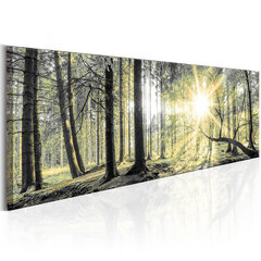 Pilt - Morning Forest 135x45 cm hind ja info | Seinapildid | hansapost.ee