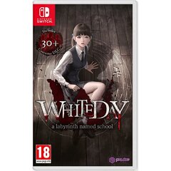 Videomäng Switch konsoolile Just For Games White Day цена и информация | Компьютерные игры | hansapost.ee