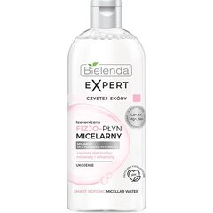 Isotooniline füsio-mitsellaarvesi Bielenda Expert Clean Skin Relief, 400ml цена и информация | Аппараты для ухода за лицом | hansapost.ee